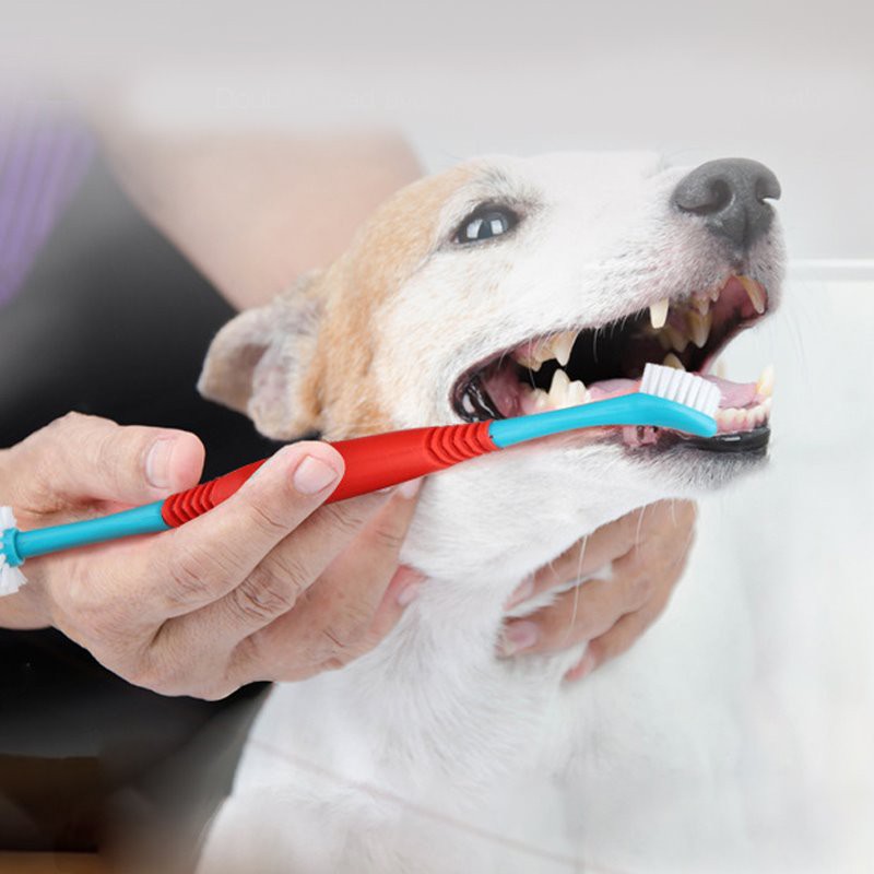 Pet Toothbrush