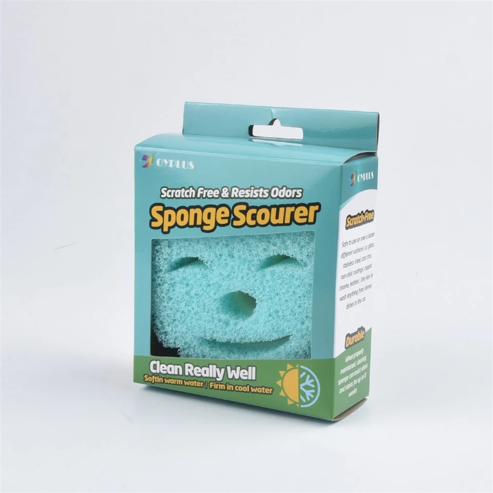 2 In 1 Scrub Sponge